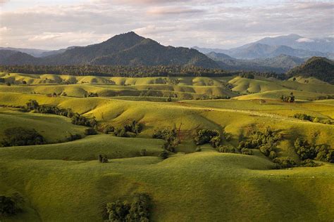 Tablelands, QLD .